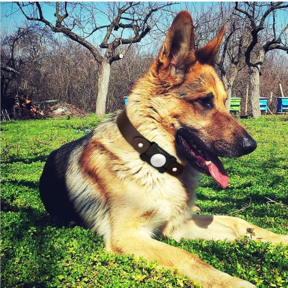 Dog Collar with Airtag Holder  (2 Pack Black & Brown, Large) - Picture 11 of 12